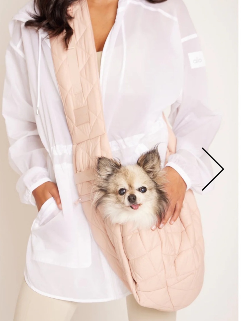 MAXBONE Eco Packable Sling Pet Carrier Bag Toy Dog Color Sand NWOT $98